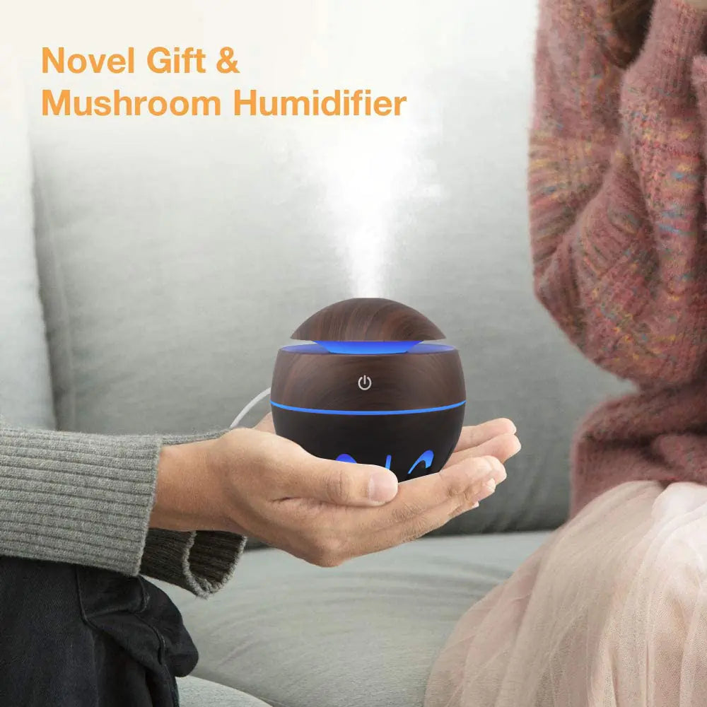 ZANOIU Aromatherapy Humidifier