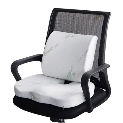 Orthopedics Hemorrhoids Foam Seat