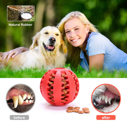 ZANOIU Rubber Balls Chewing Pet Toys